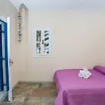 Luxury * Дриос